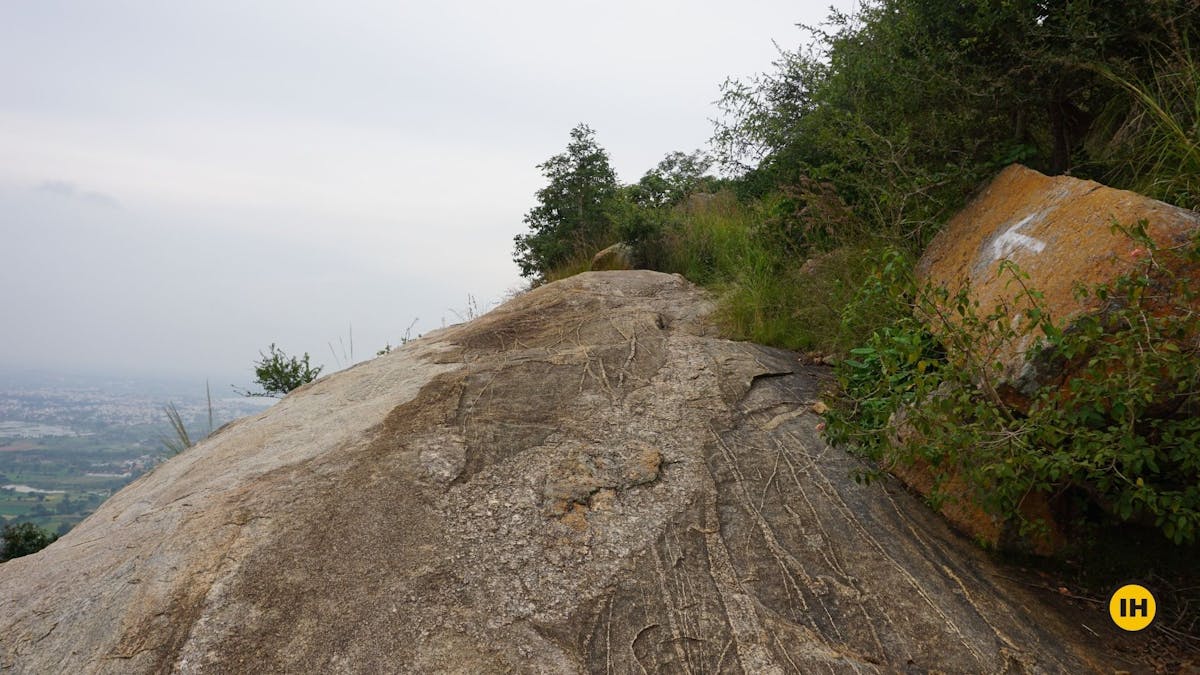 Markings on the trail- Harihara Betta Trek - Indiahikes