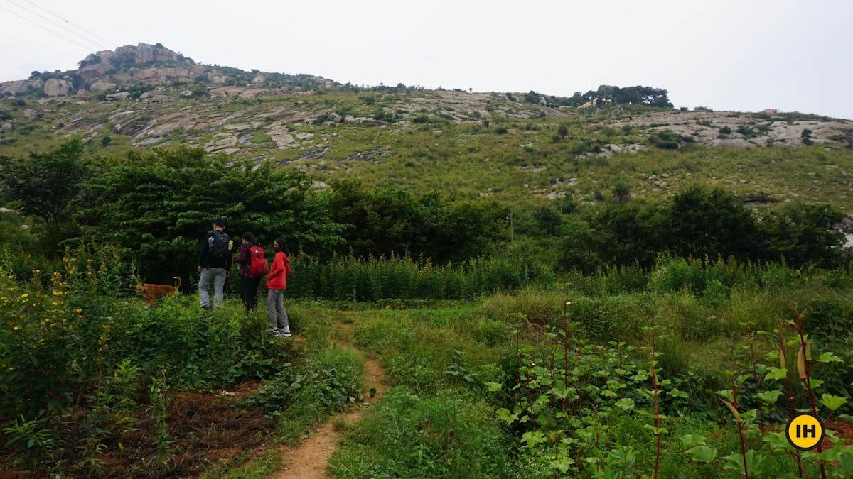 Initial trail - Harihara Betta Trek - Indiahikes