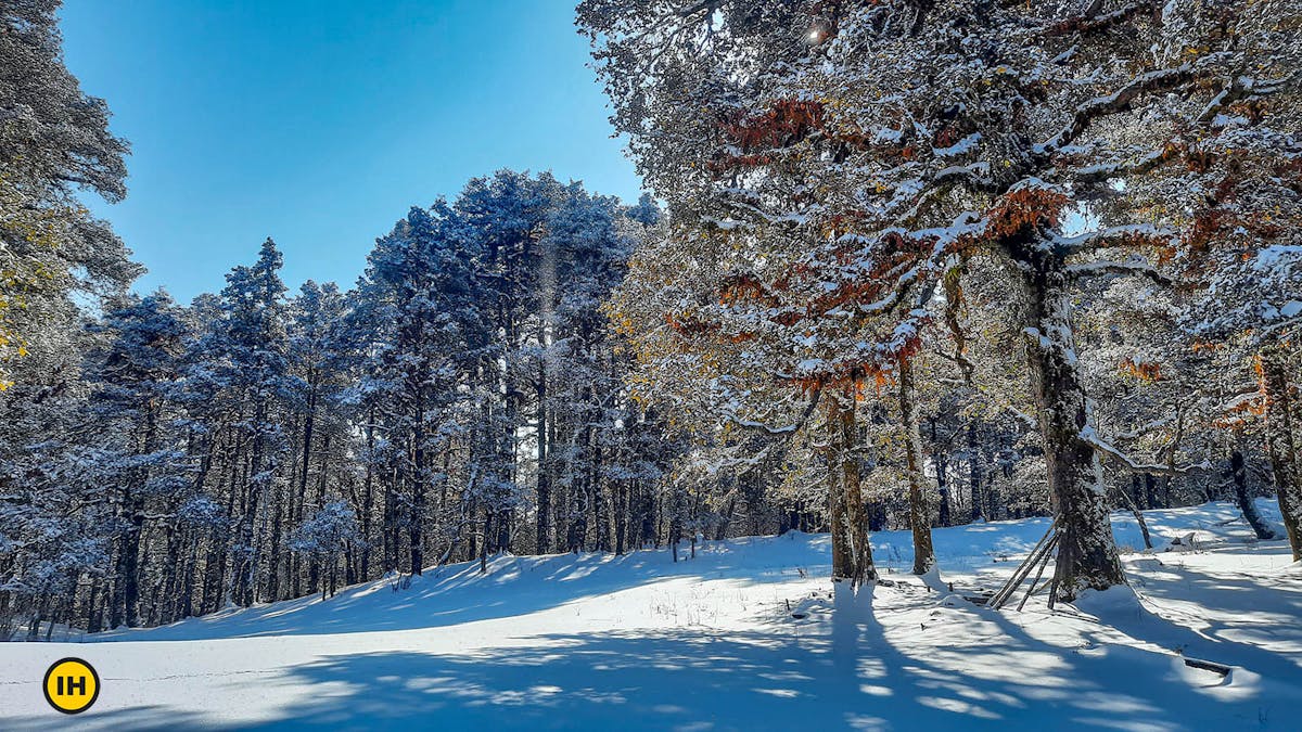 treks, himalayan treks, indiahikes, winter treks
