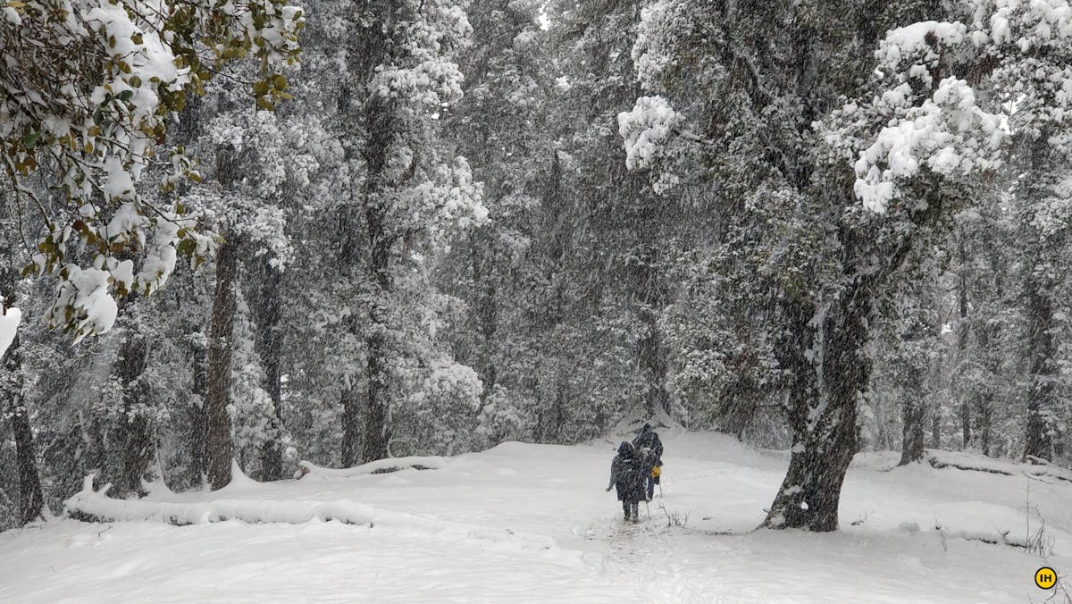 treks, himalayan treks, indiahikes, winter treks