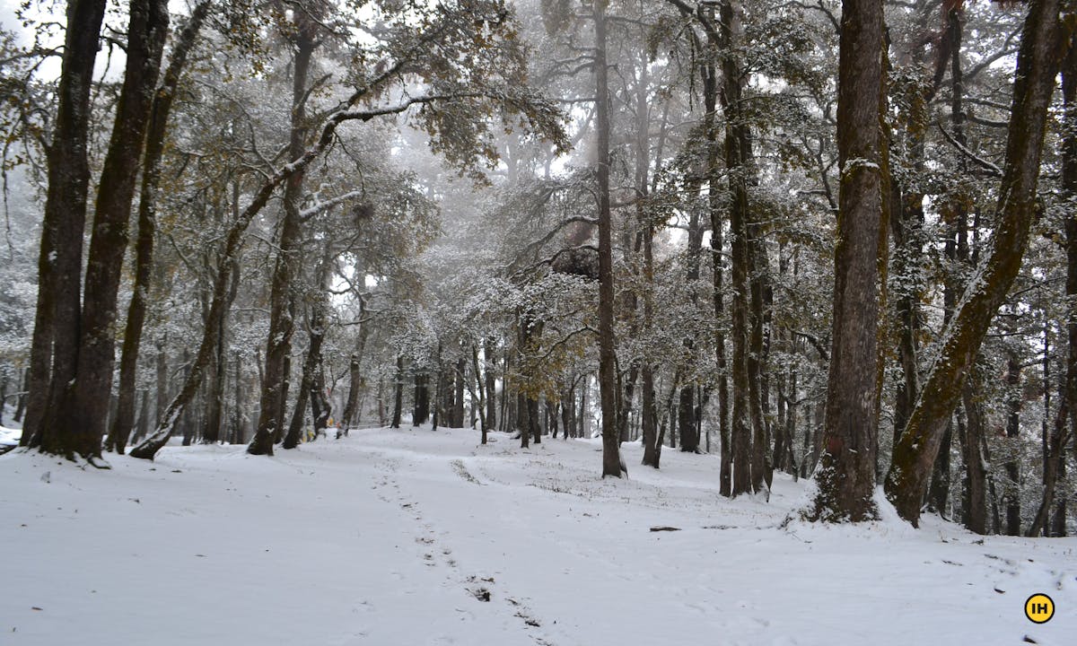 treks, himalayan treks, indiahikes, winter treks