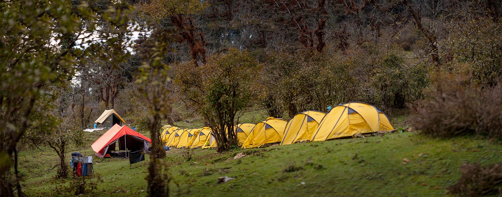 Dayara Bugyal Trek