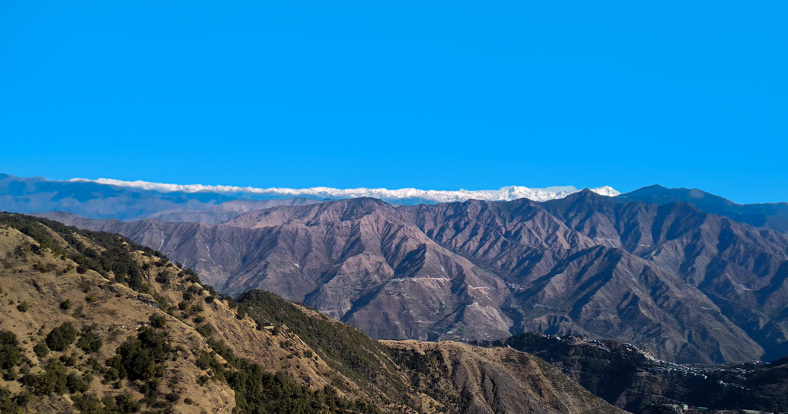 Benog Tibba Trek 2024 - Weekend Treks In Uttarakhand - Indiahikes