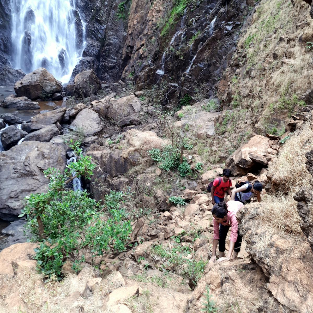 Route to Falls-Dabbe Falls Trek-Indiahikes-Anjan