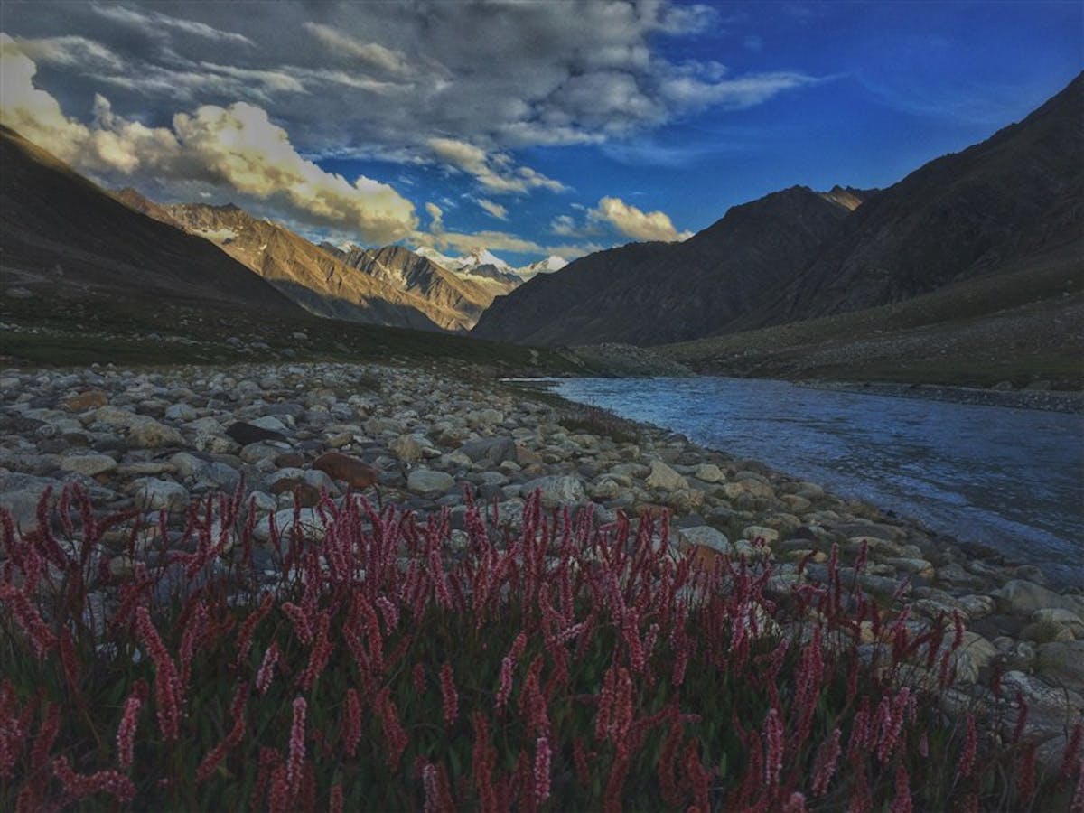 Miyar Valley Trek