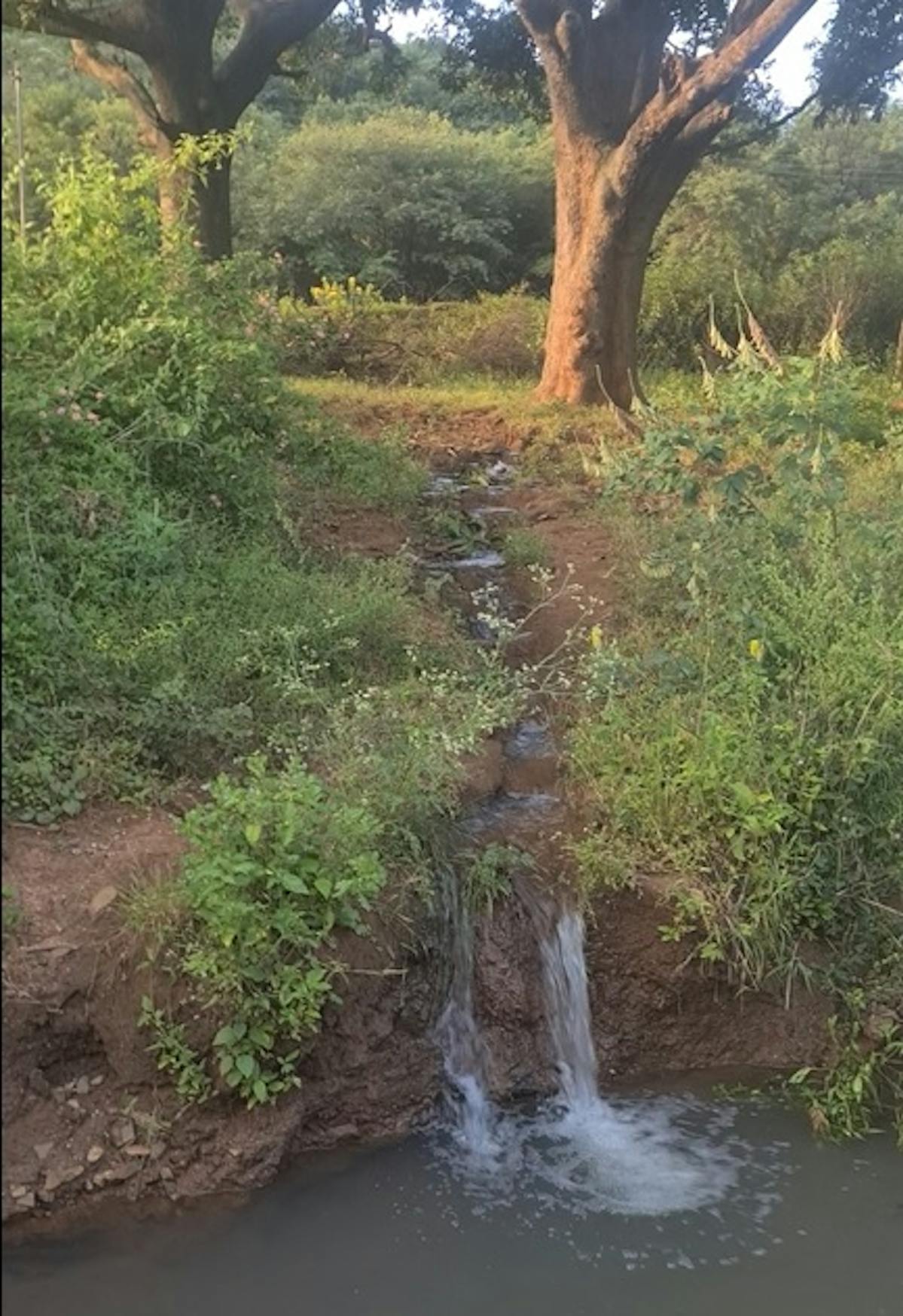 Waterstream-Minchikall Betta Trek-Indiahikes-Manjunath Krishnamurthy