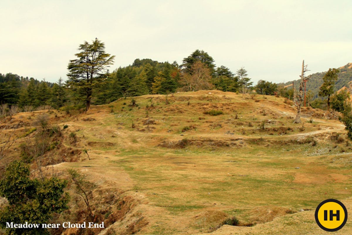 bhadraj hills-meadows-indiahikes-archives