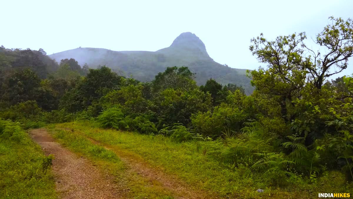 Far view of Ettina bhuja, Ettina Bhuja trek, western ghats treks, Indiahikes, treks in Karnataka, weekend treks ffrom Bangalore 