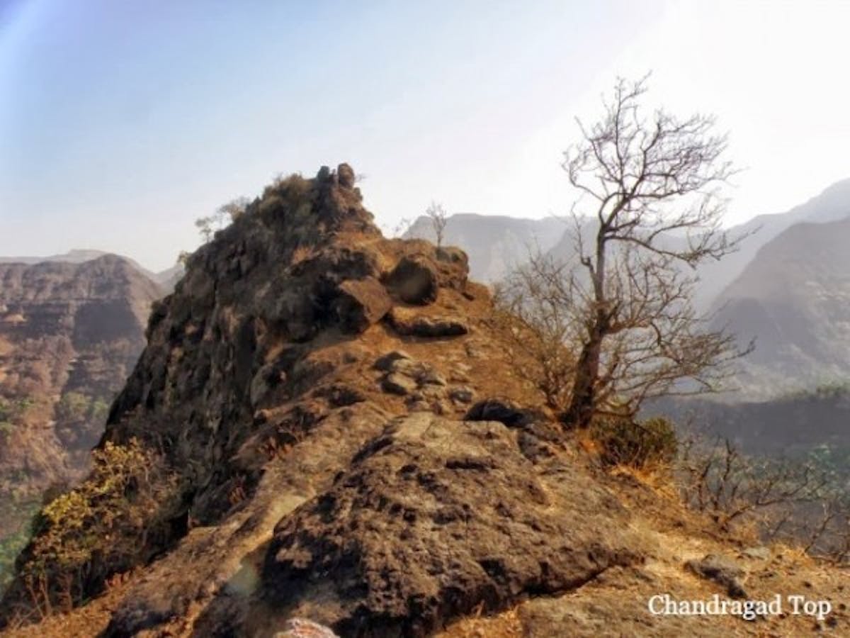 Chandragad top - indiahikes 