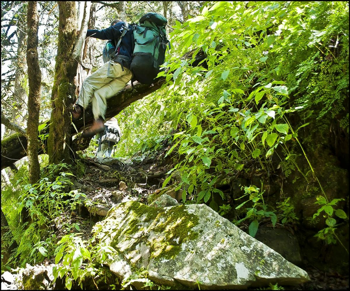 Trekkers-in-action-Jiwa-Nala-Parvati-Valley-Trek-Indiahikes-Archives