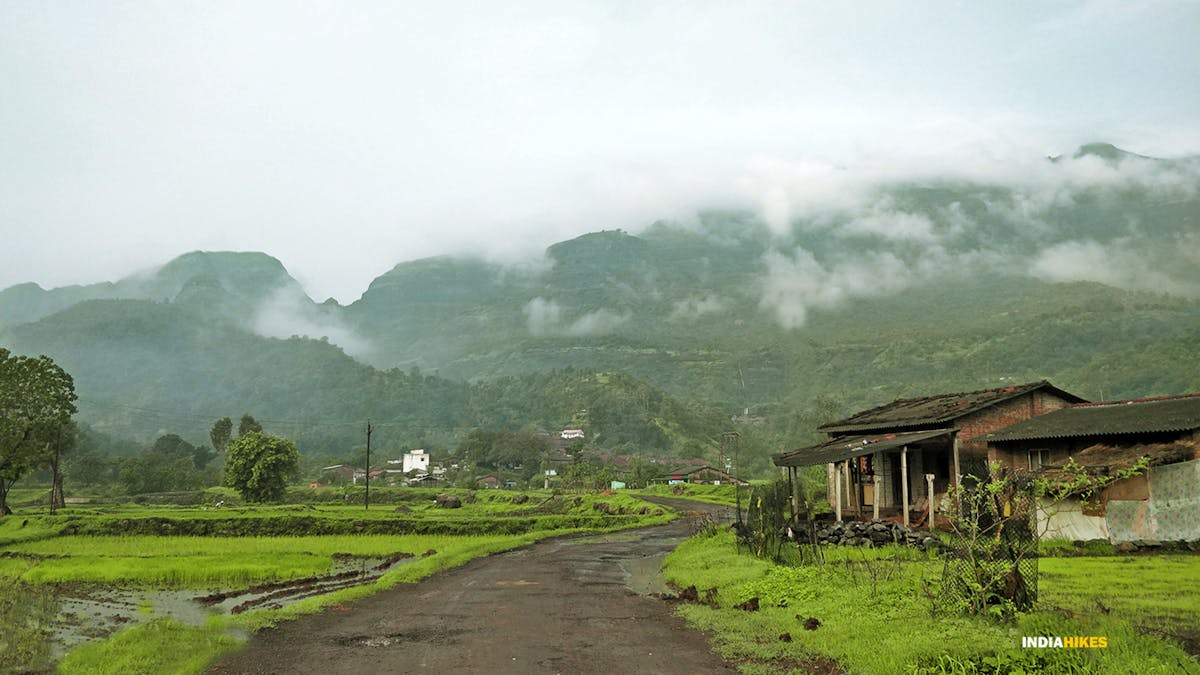 the road leading to the summit, Kalsubai Peak Trek, Indiahikes, Treks near Mumbai, highest peak in Maharashtra,treks near Pune, Famous treks in Maharashtra, Sahyadri treks