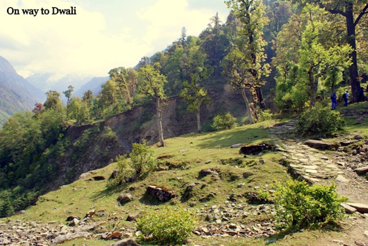 pindari glacier-dwali-indiahikes-archives-3