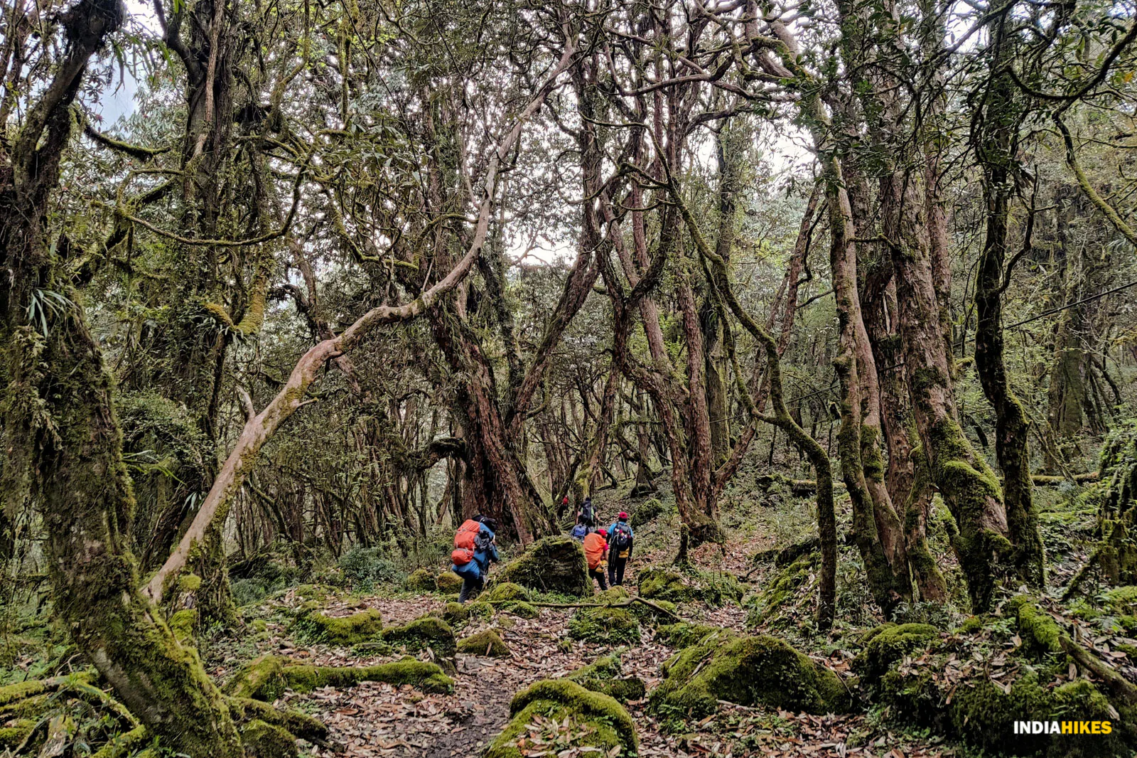 Khopra Ridge Trek #4