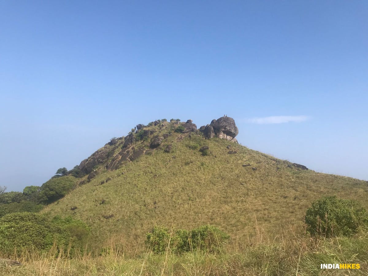 ranipuram peak seen from Maduthamala, Treks in Kerala, Western ghats