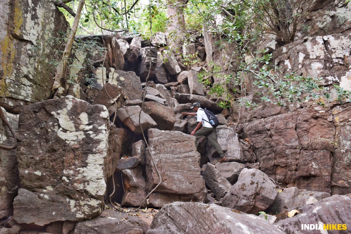Tricky sections satpura forest trail - Indiahikes - Nitesh kumar