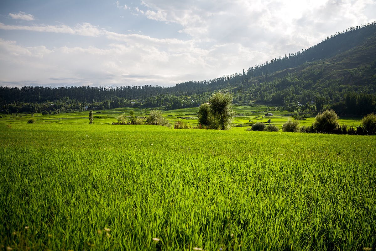 offbeat things to do in Kashmir, Kashmir places, places to visit in Kashmir