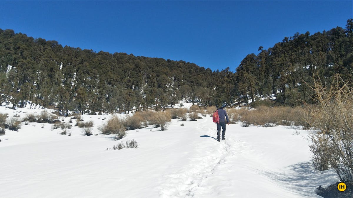 Kugina Pass trek