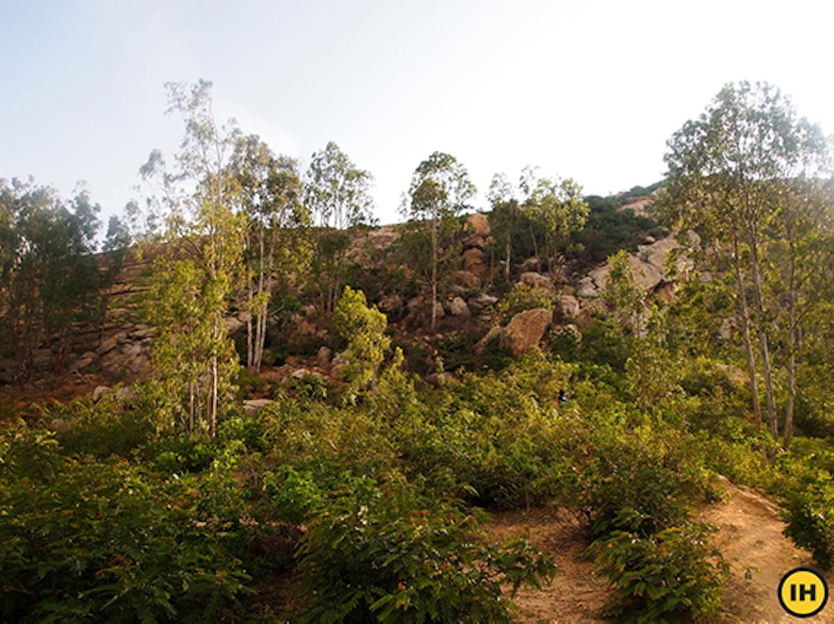 Path A and Path B converge right before the rock section visible in the picture. Picture by Saurabh Sawant.