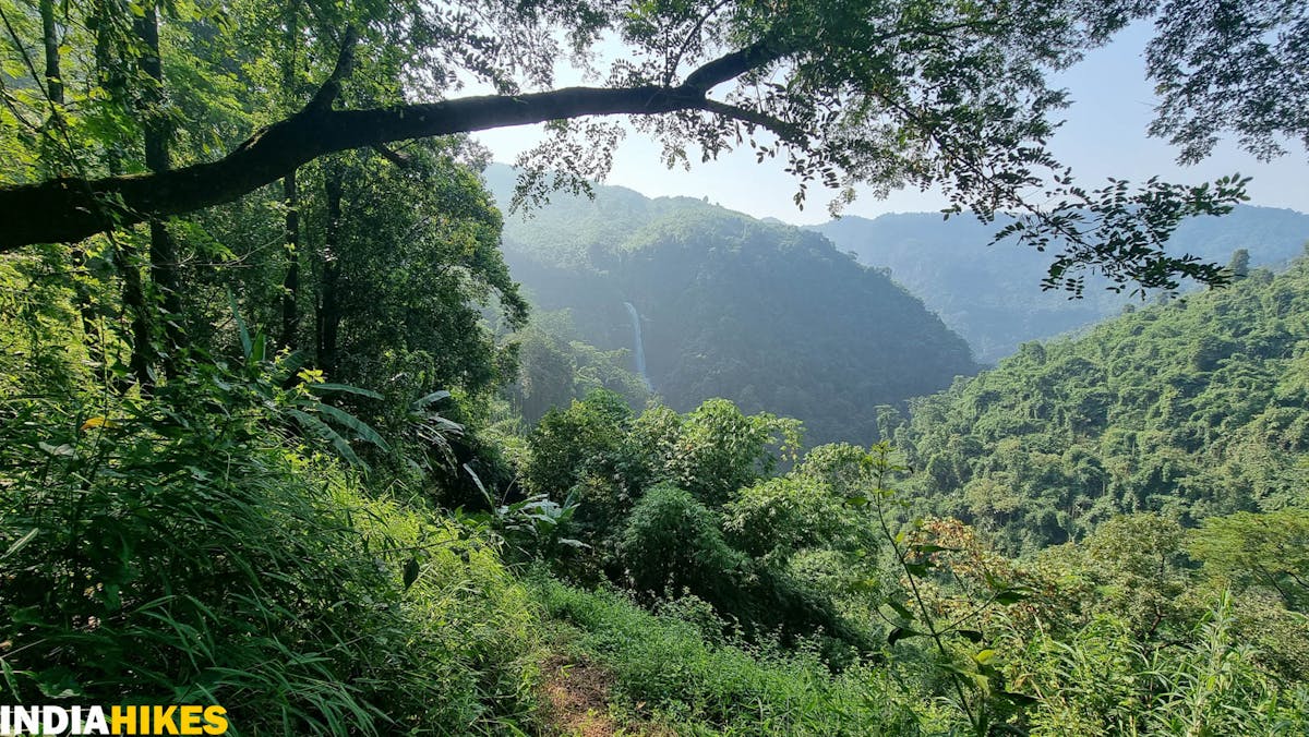 Alangta in the backdrop, Tamenglong Forest Trek, Indiahikes, treks in Manipur, forest treks