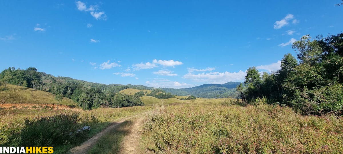 Approaching Buning meadows, Tamenglong Forest Trek, Indiahikes, treks in Manipur, forest treks