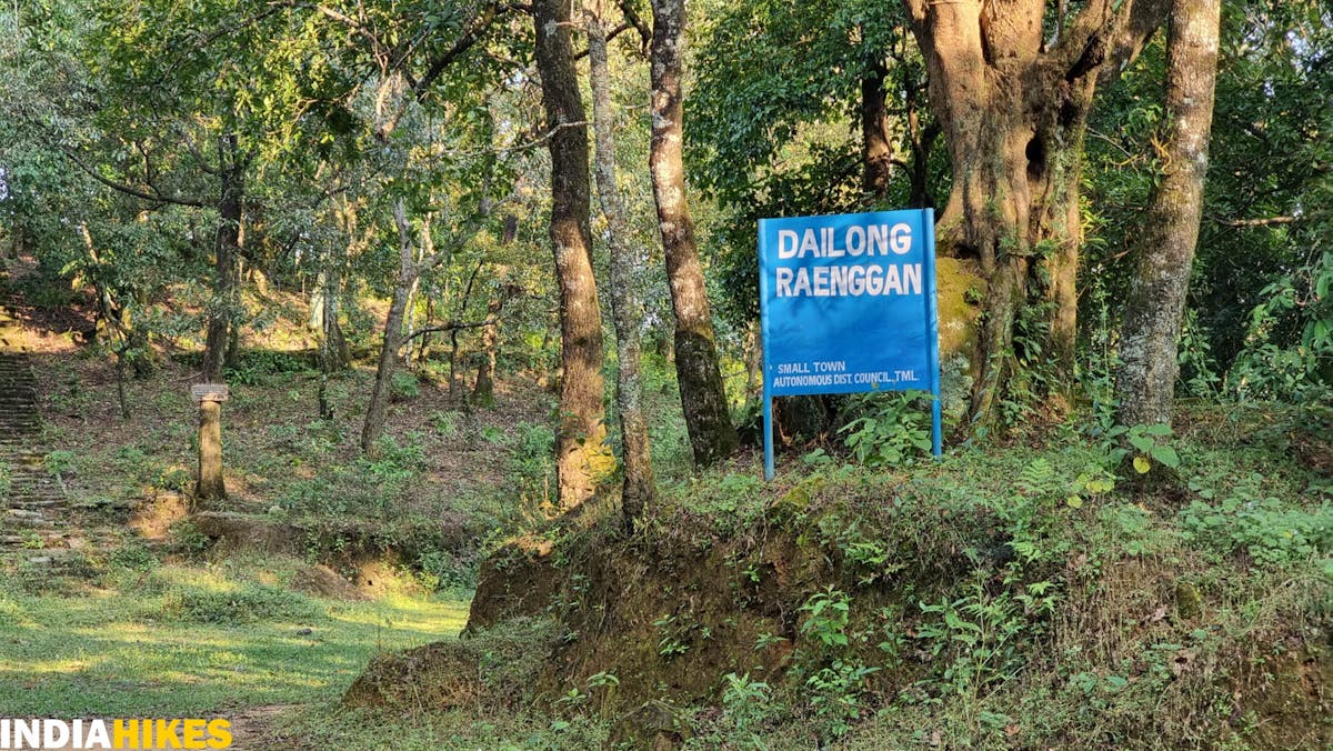 Tamenglong Forest Trek- Dailong Raenggan -Dhaval Jajal