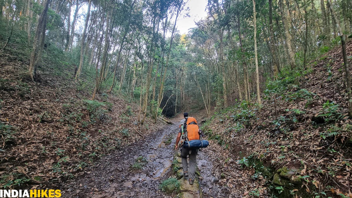 Trail to Tharon Caves, Tamenglong Forest Trek, Indiahikes, treks in Manipur, forest treks