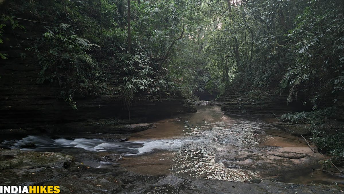 Camp by the stream, Tamenglong Forest Trek, Indiahikes, treks in Manipur, forest treks