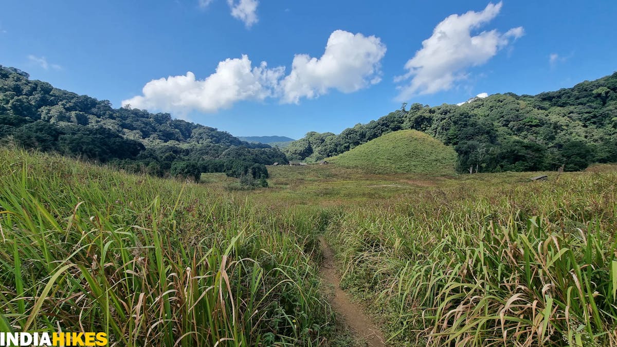 Grasslands to thick forest, Tamenglong Forest Trek, Indiahikes, treks in Manipur, forest treks