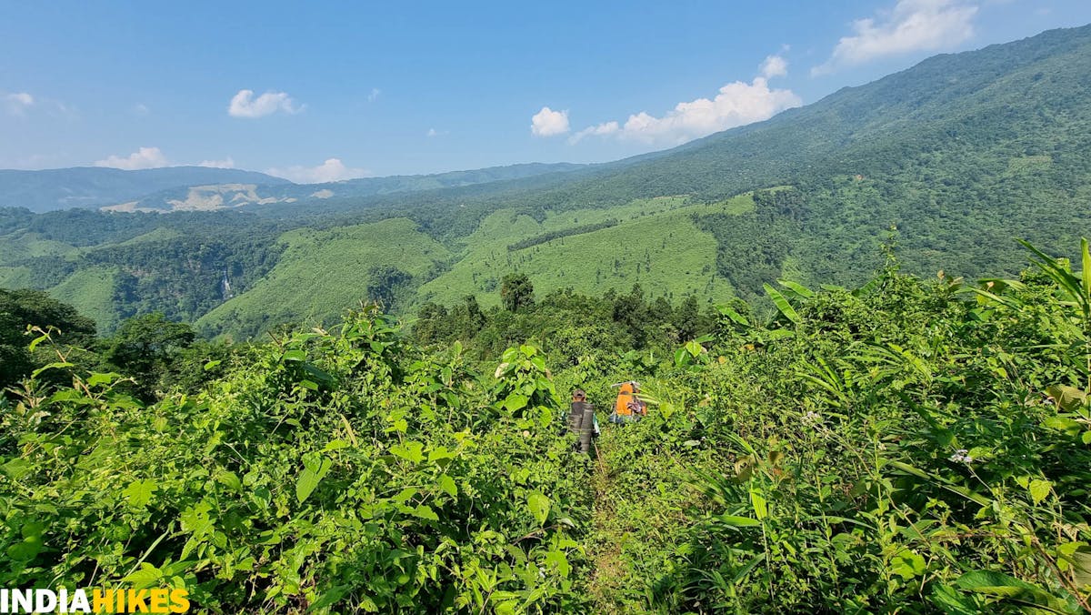 Forest trail, Tamenglong Forest Trek, Indiahikes, treks in Manipur, forest treks