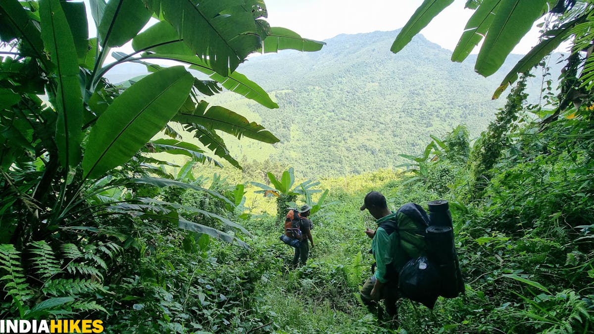 steep descent, Tamenglong Forest Trek, Indiahikes, treks in Manipur, forest treks