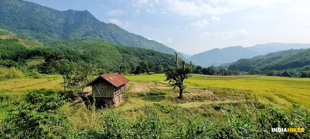 Paddy fields, Tamenglong Forest Trek, Indiahikes, treks in Manipur, forest treks