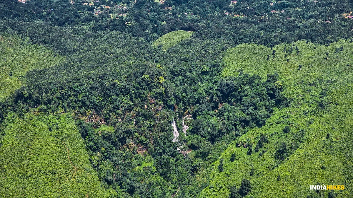 Tamenglong Forest Trek-forest descent-Dhaval Jajal