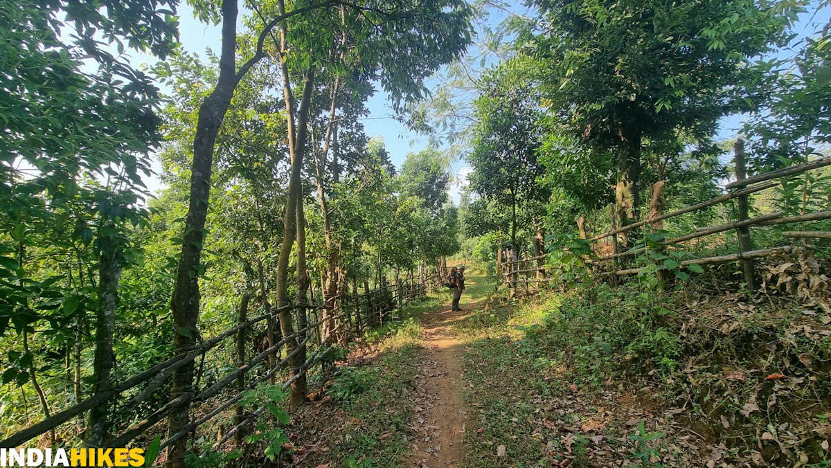 Tharon Village entry, Tamenglong Forest Trek, Indiahikes, treks in Manipur, forest treks