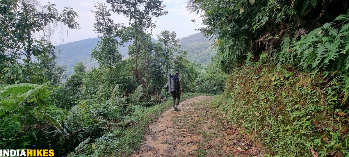 start of the forest trail, Tamenglong Forest Trek, Indiahikes, treks in Manipur, forest treks