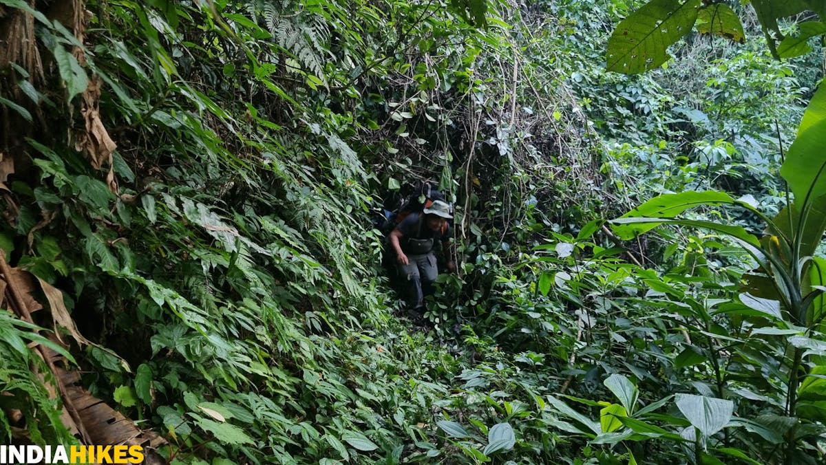 Tamenglong Forest Trek-No trail section-Dhaval Jajal