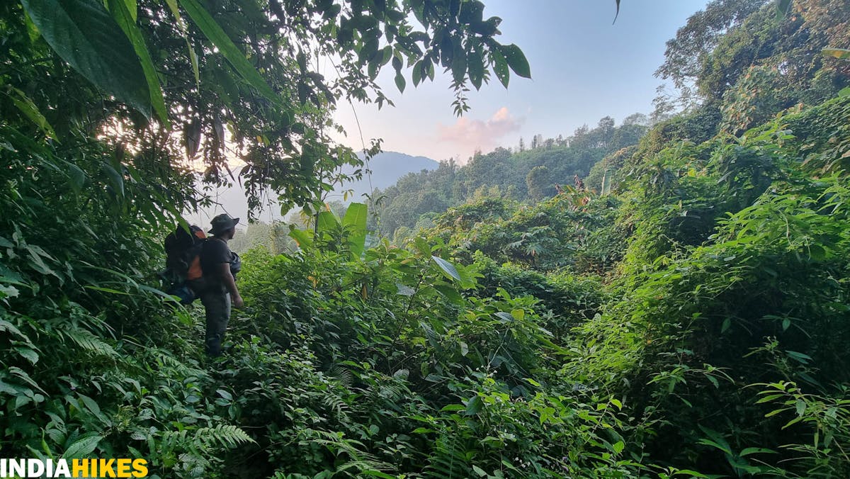 Tamenglong Forest Trek-Thick Virgin Forests of Manipur - Dhaval Jajal