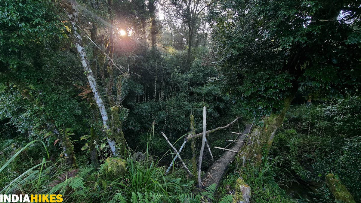 Wooden bridge, Tamenglong Forest Trek, Indiahikes, treks in Manipur, forest treks