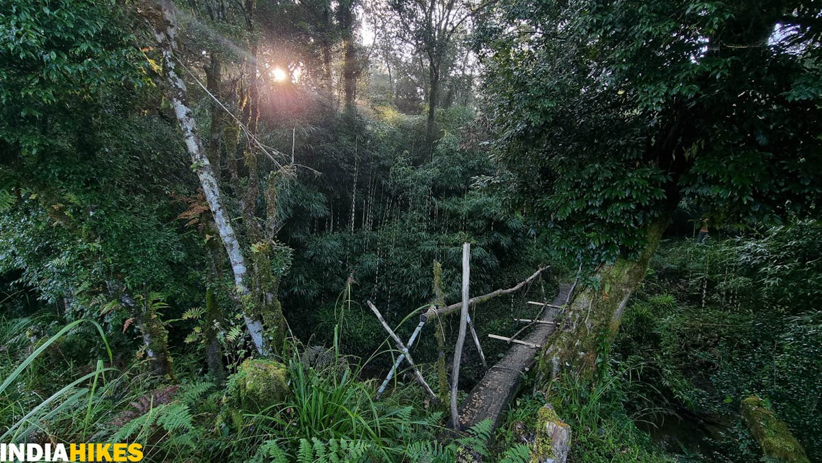 Wooden bridge, Tamenglong Forest Trek, Indiahikes, treks in Manipur, forest treks