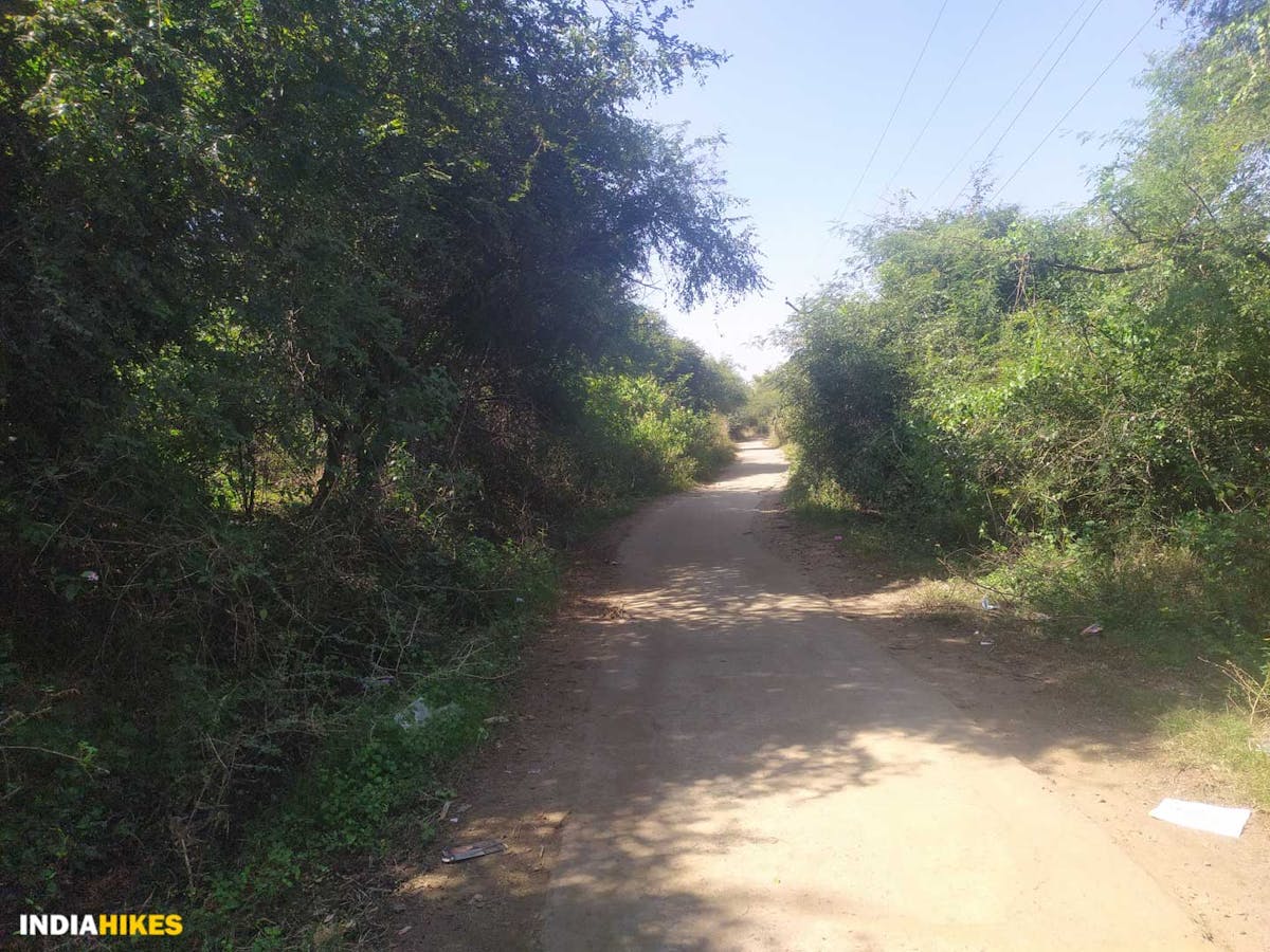 path to Veerabhadrar Temple-Parvathamalai Trek-Indiahikes-Treks in Tamilnadu