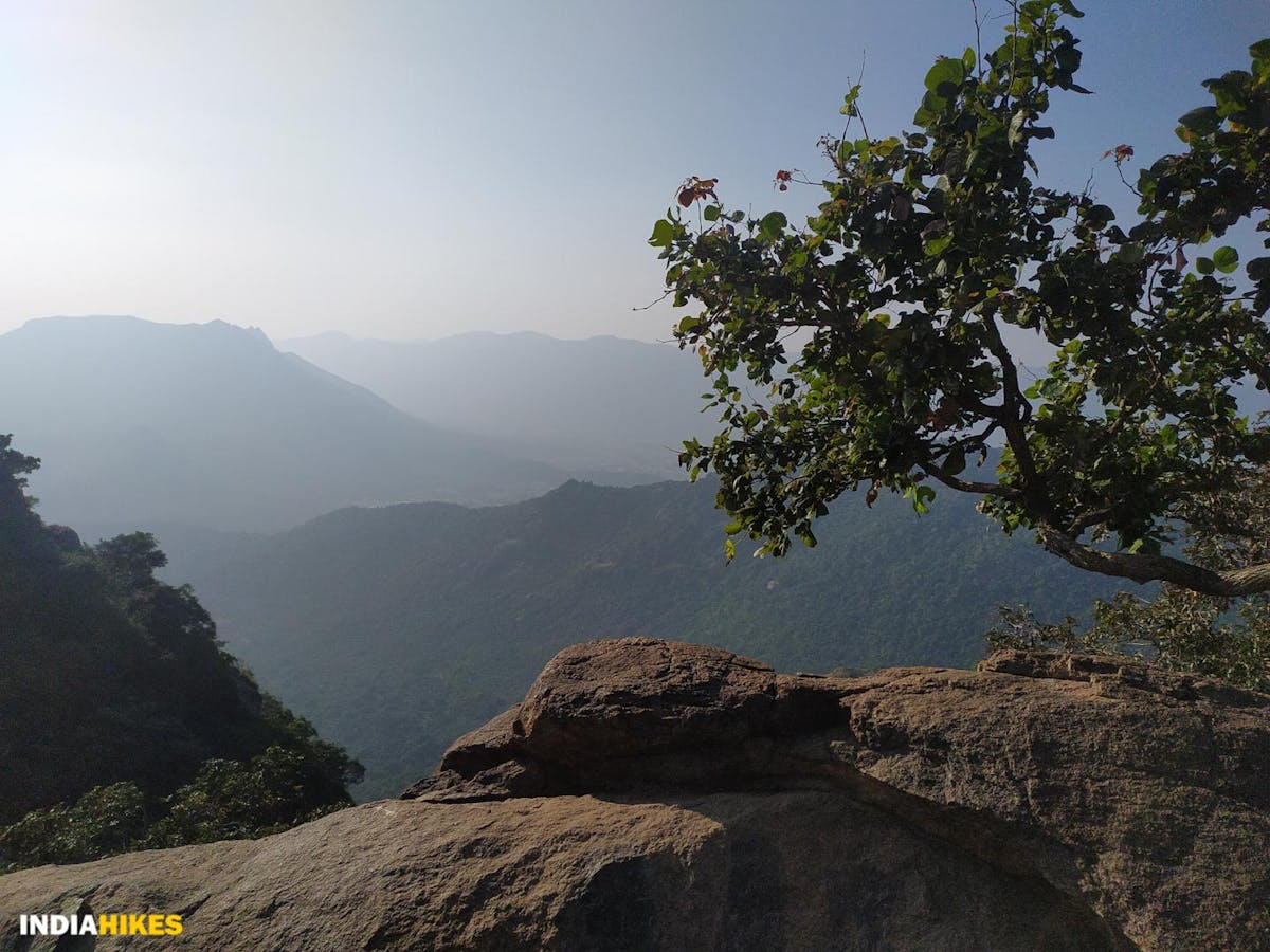 Jawadhu hills-Parvathamalai Trek-Indiahikes-treks in Tamilnadu
