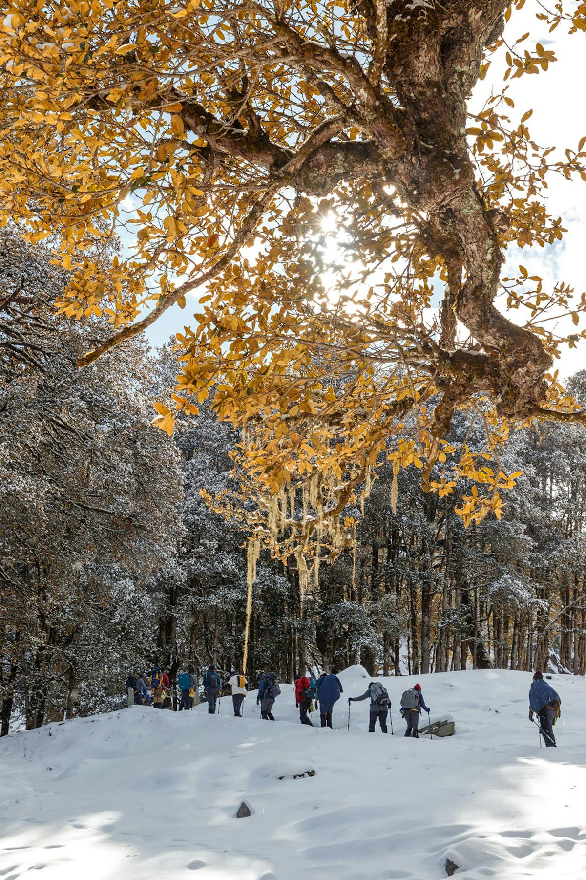 Mt Neelkanth - Kuari Pass - Neeraj Bisht - Treks in Uttarakhand - Mountains of Uttarakhand - Indiahikes - "Keyword"
"kuari pass temperature"
"kuari pass height"
"kuari pass trek distance"
"kuari pass trek difficulty"
"kuari pass indiahikes"
"kuari pass trek price"
"joshimath to kuari pass" "Keyword"
"kuari pass height"
"kuari pass temperature"
"kuari pass trek distance"
"kuari pass trek difficulty"
"kuari pass trek map"
"kuari pass indiahikes" "Keyword"
"kuari pass"
"kuari pass temperature"
"kuari pass height"
"kuari pass trek map"
"kuari pass trek package"
"kuari pass trek the himalayas"
"kuari pass trek blog"
"kuari pass trek route"
"kuari pass trek wikipedia"
"kuari pass location"
"winter kuari pass trek"
"tth kuari pass"
"joshimath to kuari pass"
"kedarkantha trek vs kuari pass trek"
"rishikesh to kuari pass distance"
"kuari pass trek" "Keyword"
"neelkanth mountain story"
"neelkanth peak trek"
"rishikesh to neelkanth by foot"
"badrinath to neelkanth distance"
"neelkanth mountain rishikesh"
"neelkanth trek distance"