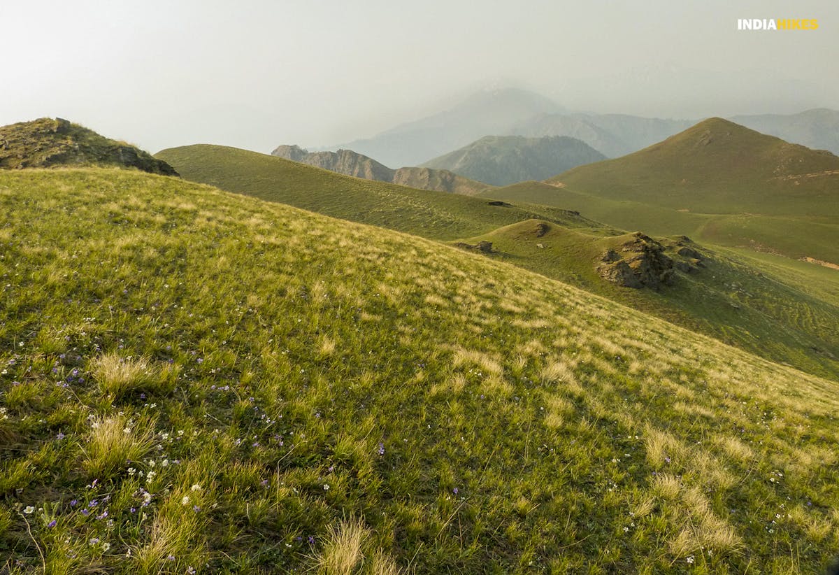 Dayara Bugyal, Himalayan treks, Easy-Moderate treks, Indiahikes