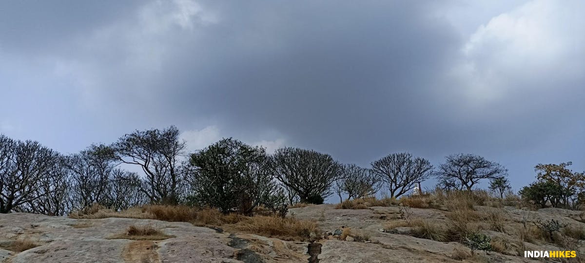 Reaching the Top - Musattu Hill - Indiahikes - Ajay Vignesh