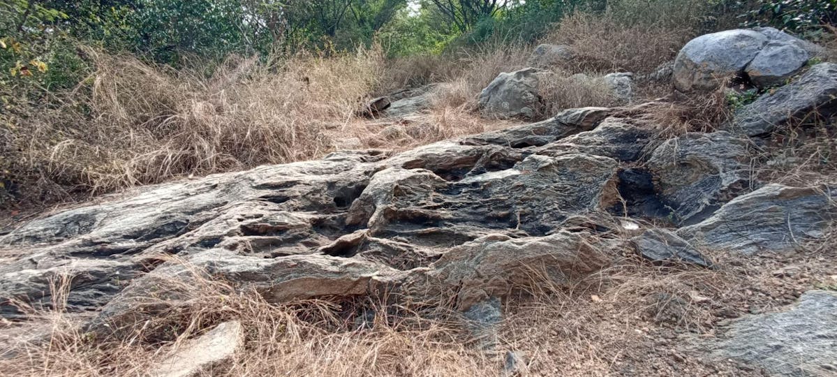 Steep Section Begins - Musattu Hill - Indiahikes - Ajay Vignesh