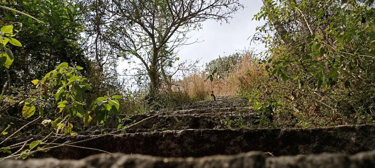 Stone Steps - Musattu Hill - Indiahikes - Ajay Vignesh