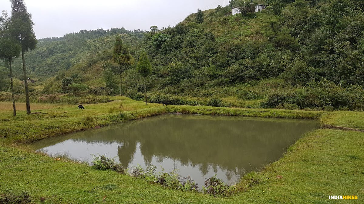 Community pond, david scott trek, david scott trail, trekking in meghalaya, treks in meghalaya