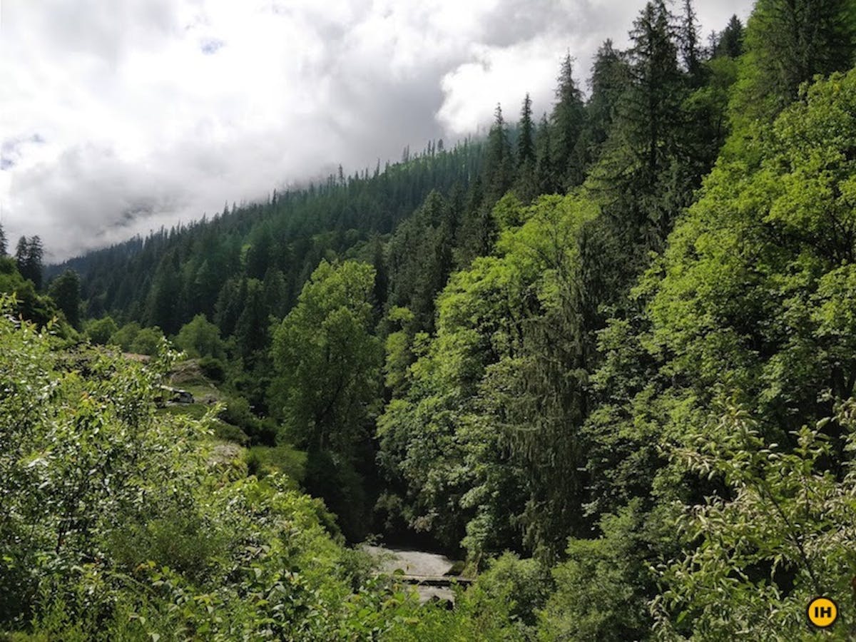 Pin parvati Pass Trek. Kullu. Treks in Himachal. Indiahikes. Thick forests