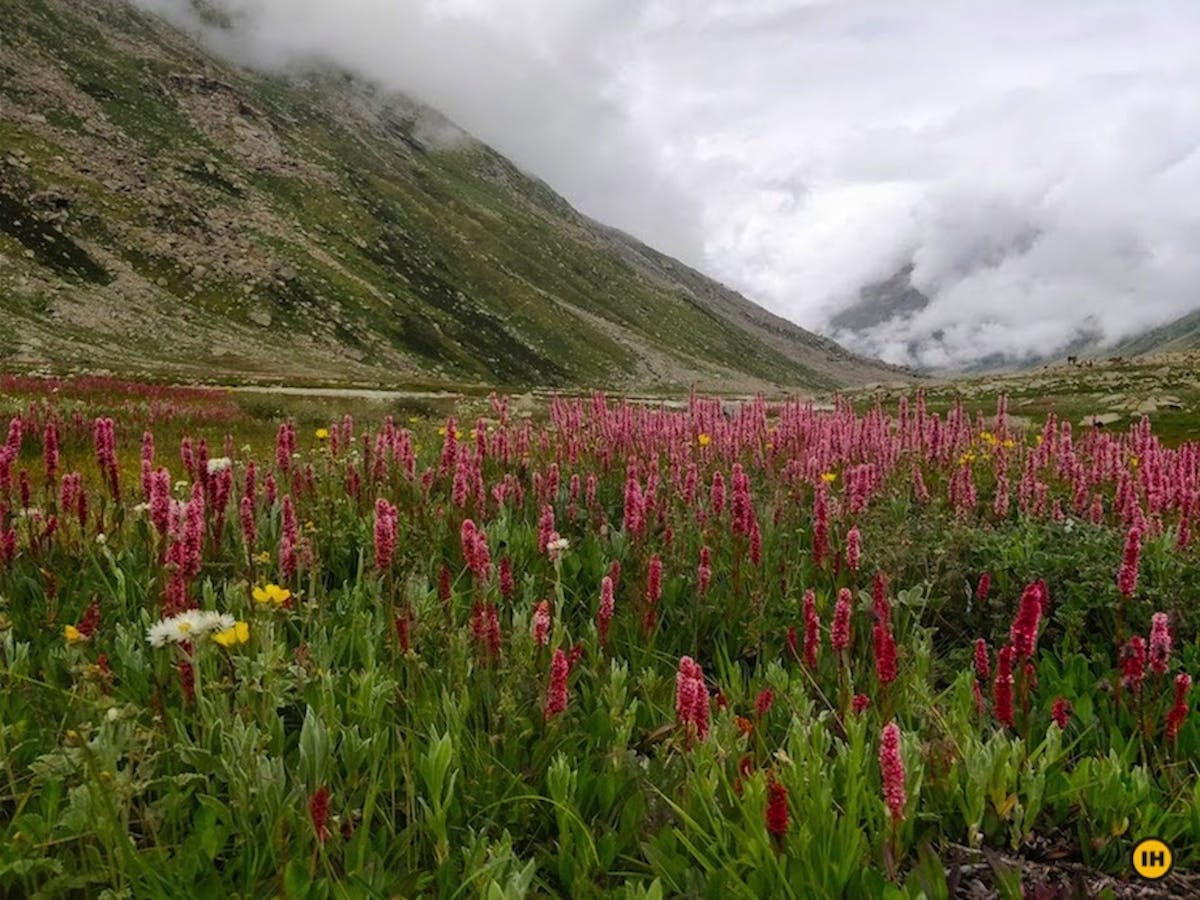 Pin parvati Pass Trek. Kullu. Treks in Himachal. Indiahikes. Odi Thach