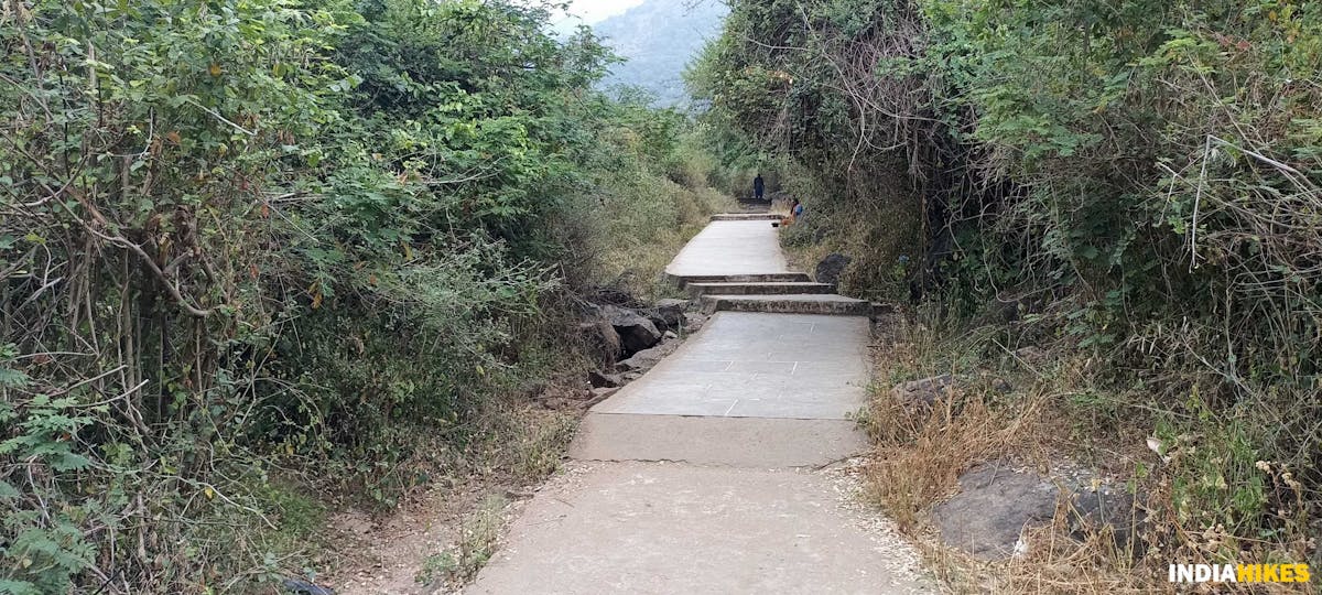 Concrete path-Sathuragiri Hill Trek-Indiahikes-Treks in tamilnadu