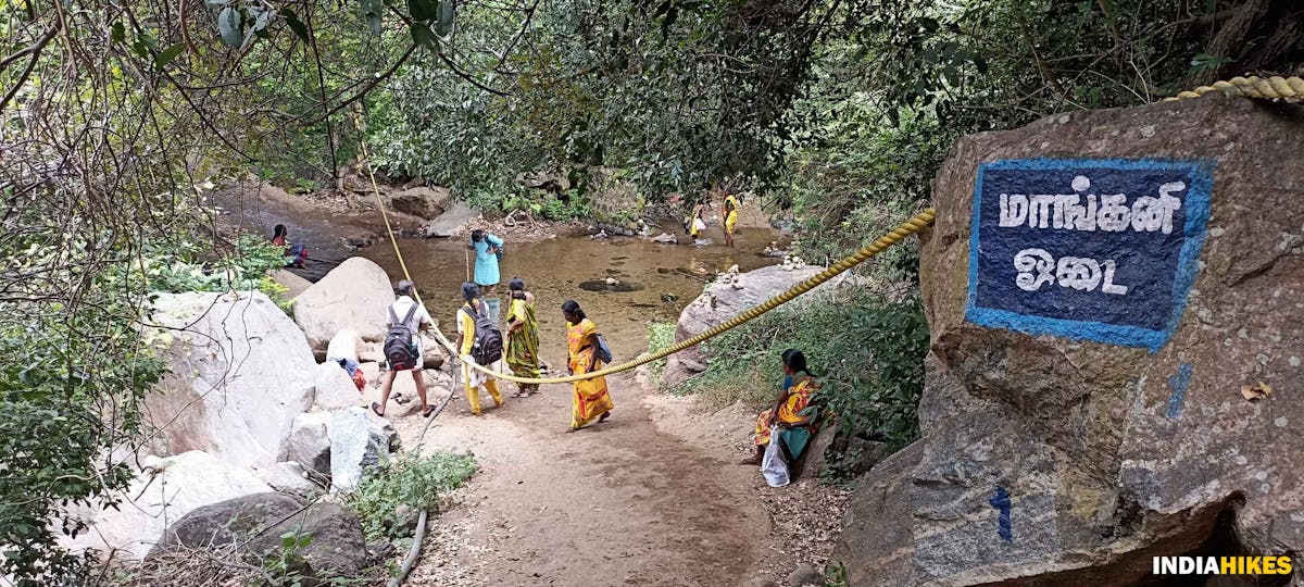 Crossing the brook-Sathuragiri Hill Trek-Indiahikes-Treks in Tamilnadu